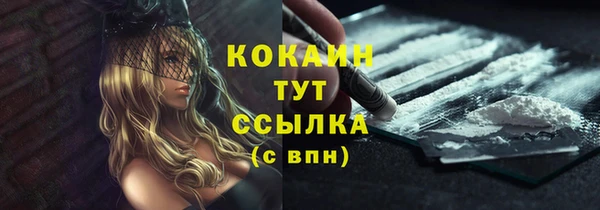 стафф Тобольск