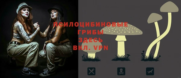 крисы Балахна