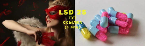 крисы Балахна